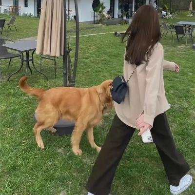 獠牙拉惹